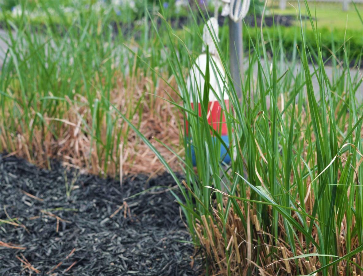 Meris Gardens B&B Bethany Beach Buitenkant foto