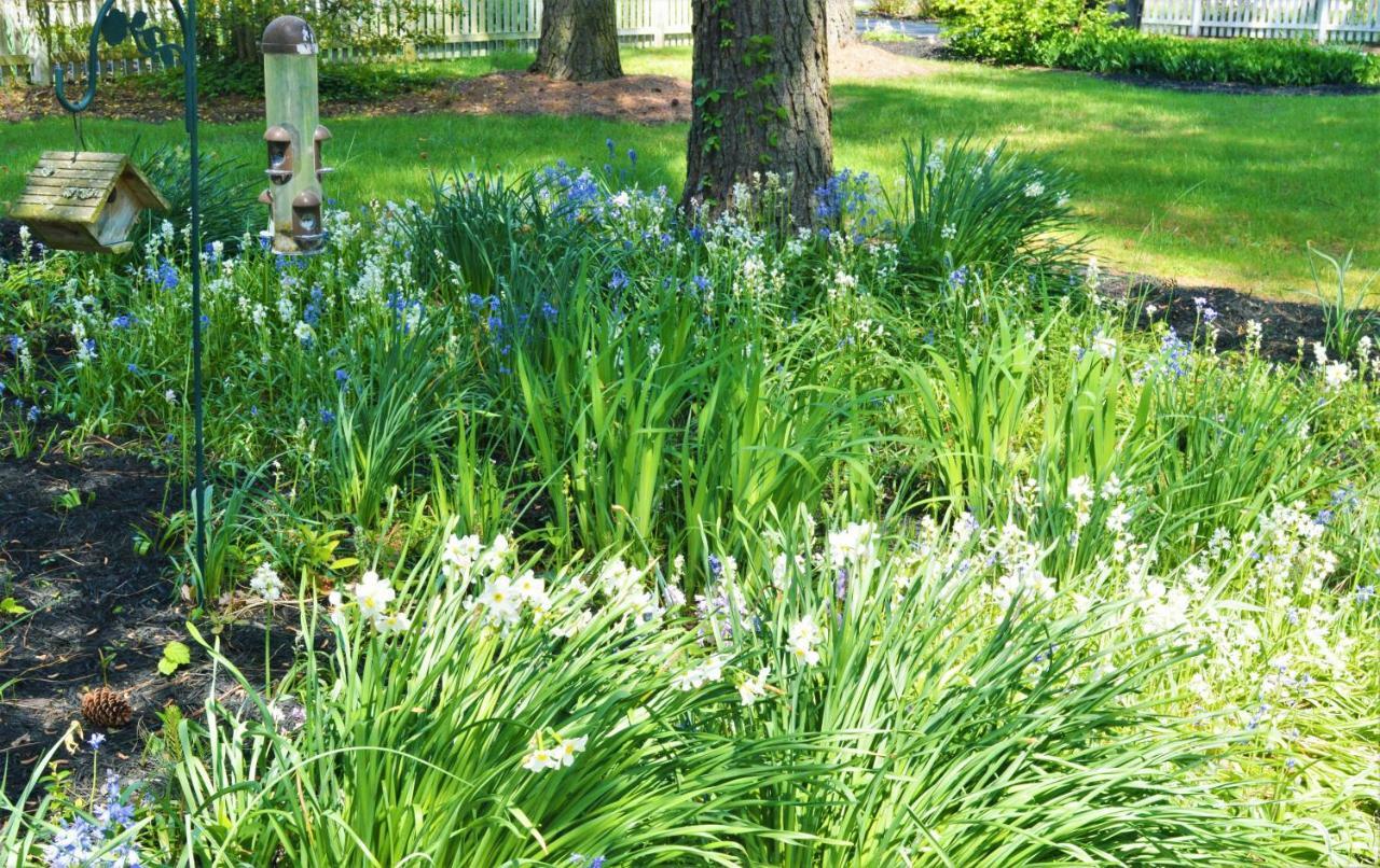 Meris Gardens B&B Bethany Beach Buitenkant foto
